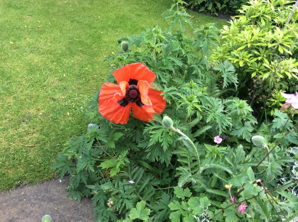 Willow Cottage B&B Yeadon Luaran gambar