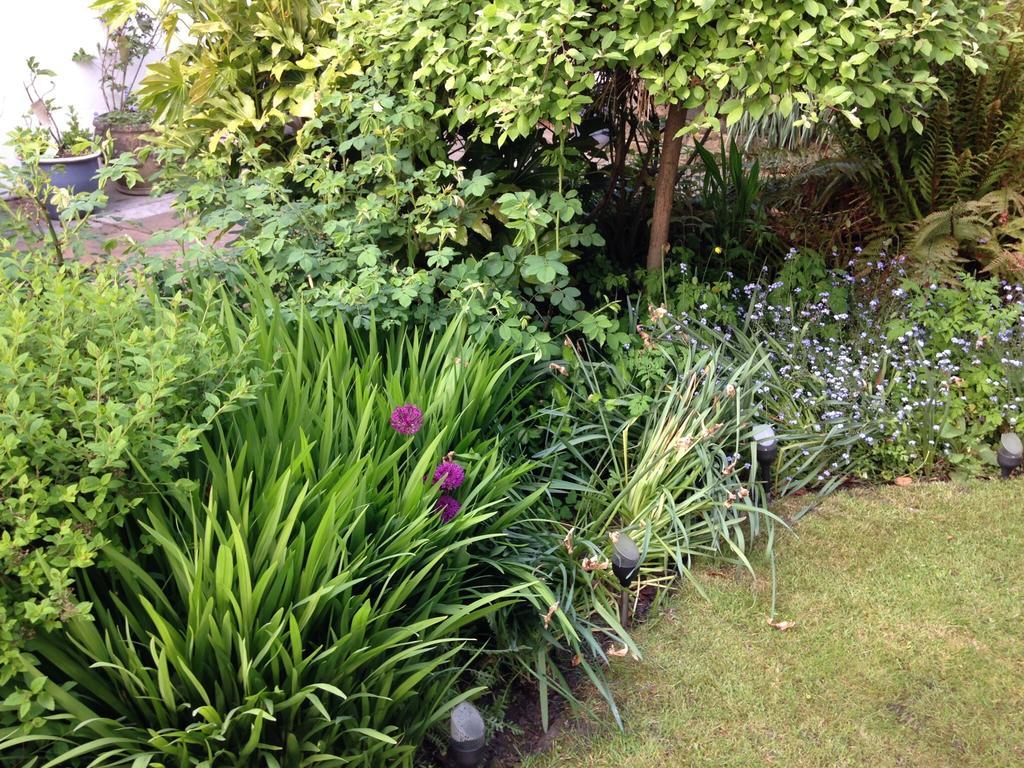 Willow Cottage B&B Yeadon Luaran gambar