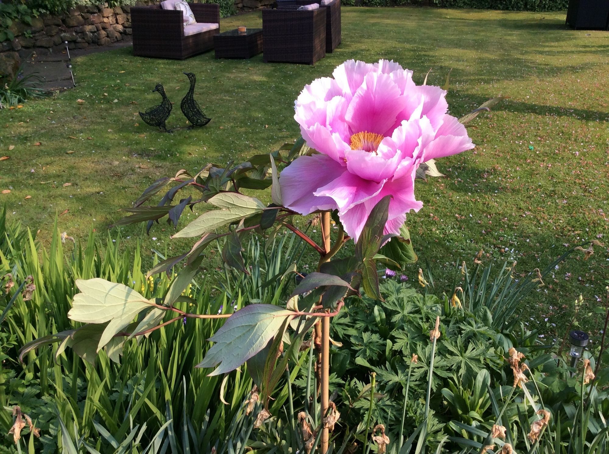 Willow Cottage B&B Yeadon Luaran gambar